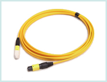 MPO Jumper Cord